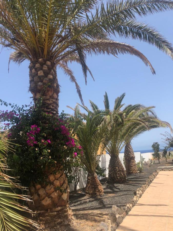 Apartamento La Tortuga De Fuerteventura Costa De Antigua Buitenkant foto